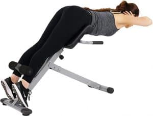 Sunny Health & Fitness SF-BH6629 45 Degree Hyperextension Roman Chair