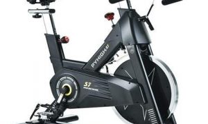 Read more about the article Why Is My Exercise Bike Squeaking
