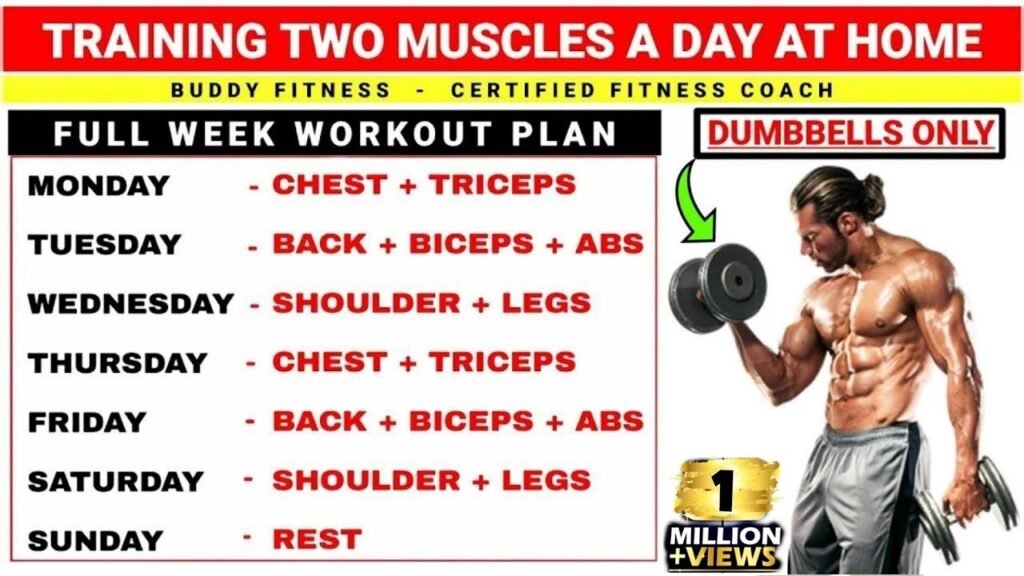 Best Muscle Group Combinations to Workout Together