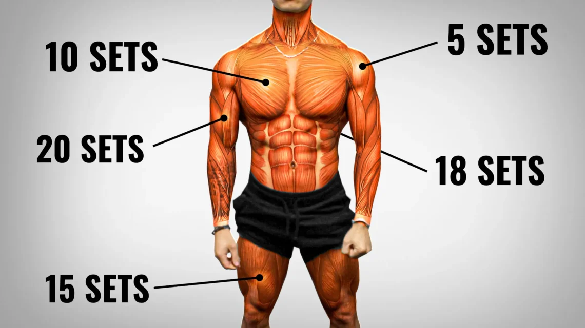 How Many Sets Per Workout to Build Muscle