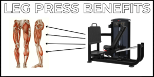 Read more about the article Is the Leg Press Machine Effective?