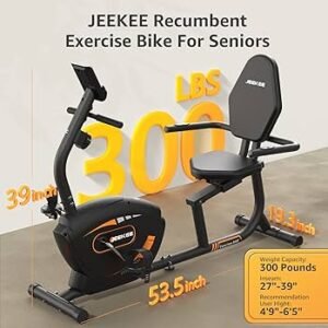 Read more about the article Jeekee Recumbent Exercise Bike Troubleshooting: Quick Fixes and Tips