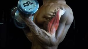 Read more about the article What are the Best Exercises for Weight Loss? Effective Routines