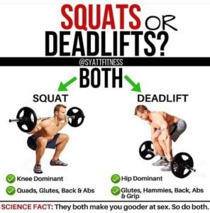 Read more about the article What is the Difference between Squat And Deadlift: Explained