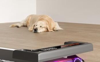 Best Walking Pad For Beginners