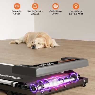 Best Walking Pad For Beginners