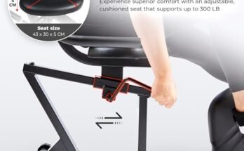 Sunny Health & Fitness Smart Recumbent Bike Review