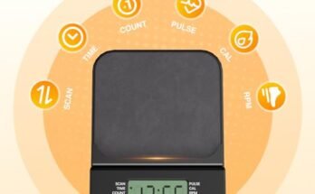 OWLSKY Air Walk Elliptical Exercise Machine Review