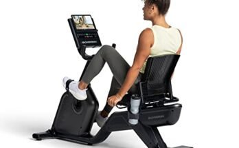 Schwinn 290 Recumbent Bike Reviews
