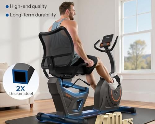 Niceday Recumbent Exercise Bike Review
