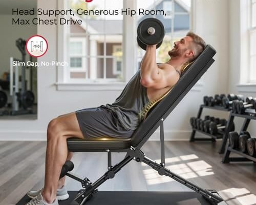 FLYBIRD Adjustable Weight Bench Review