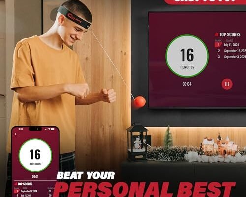 Champs MMA Boxing Reflex Ball Set Review