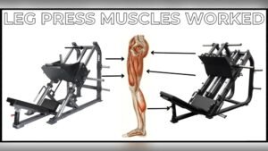 Read more about the article How Does a Leg Press Machine Work? Ultimate Guide to Strength