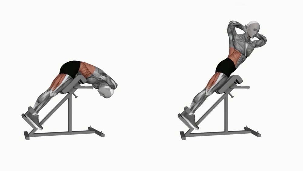Read more about the article How Often Should I Use a Hyperextension Bench? Expert Guide