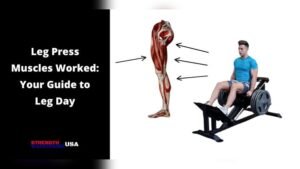Read more about the article What Muscles Does a Leg Press Machine Target? Ultimate Guide