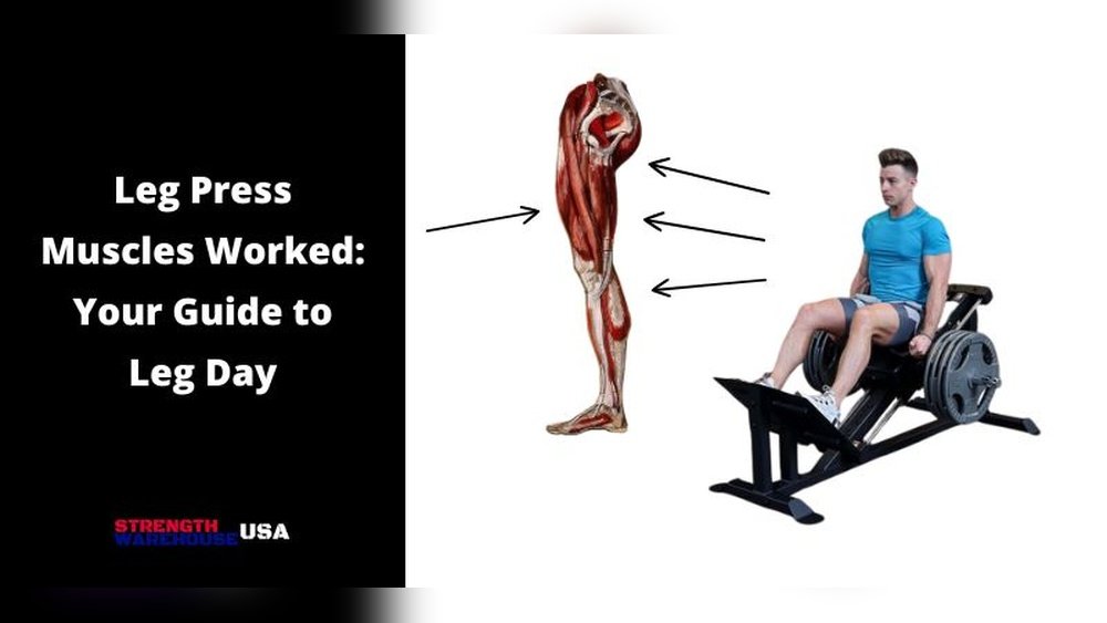 You are currently viewing What Muscles Does a Leg Press Machine Target? Ultimate Guide