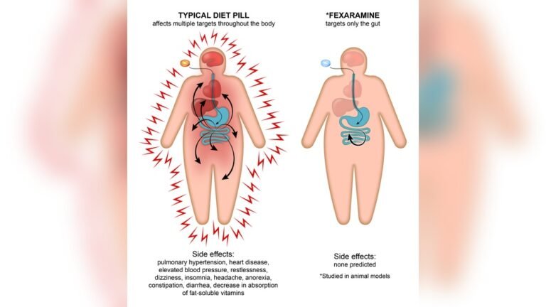 Are Weight Loss Pills Safe