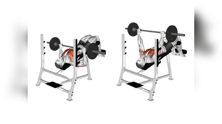 Does Barbell Bench Press Work