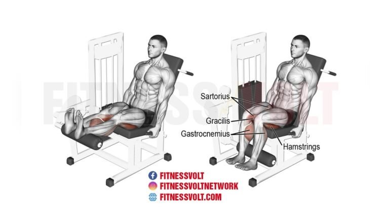 What Muscle Does Lying Leg Press Work