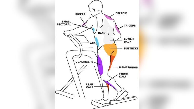 What Muscles Does the Elliptical Machine Target