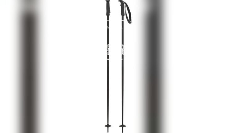 Best Budget Ski Poles 2026: Top Picks for Affordable Performance Best Budget Ski Poles