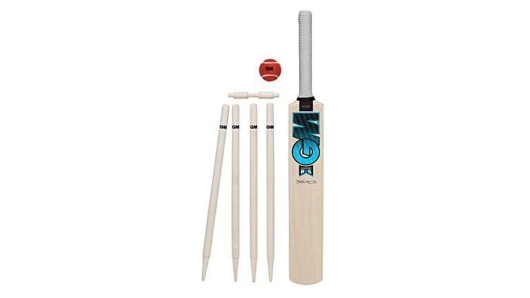 Best Cricket Bat for Beginners