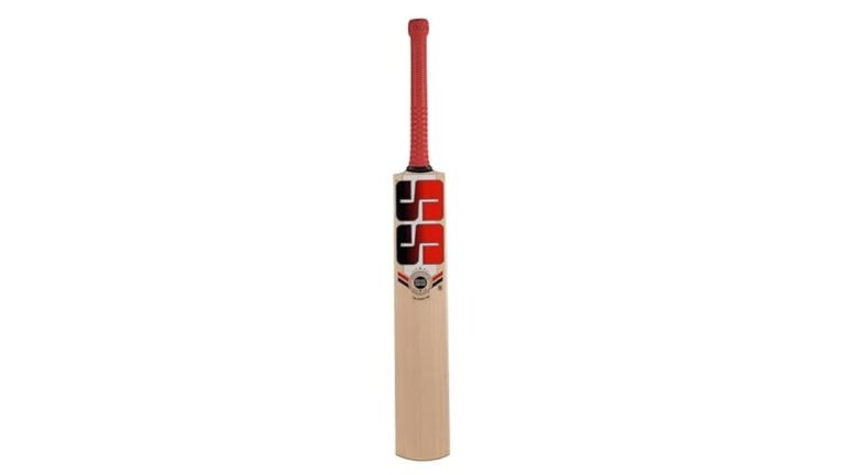 Best Cricket Bat for Power Hitting