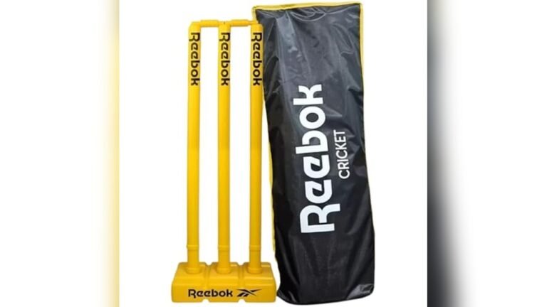 Best Cricket Stump Set