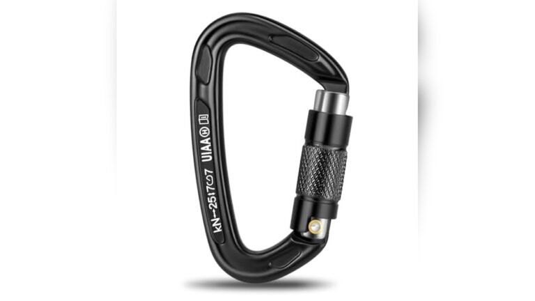 Best Ice Climbing Carabiners
