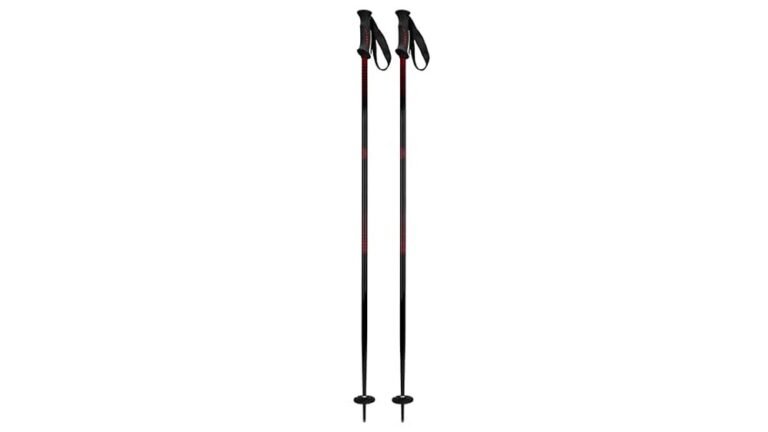 Best Ski Poles for Downhill Skiing 2026: Top Picks for Buyers Best Ski Poles for Downhill Skiing