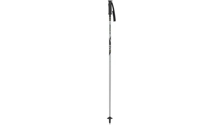 Best Ski Poles for Intermediate Skiers 2026: Top Picks Reviewed Best Ski Poles for Intermediate Skiers