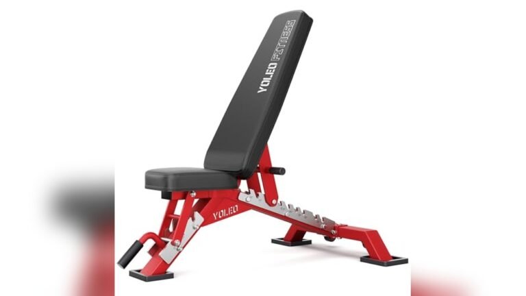 Heavy Duty Workout Bench for Bench Press at Home 2026 Buying Guide Heavy Duty Workout Bench for Bench Press at Home