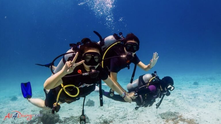 How Do Beginners Learn Scuba Diving?