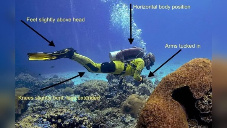 How Do Divers Control Buoyancy Underwater?