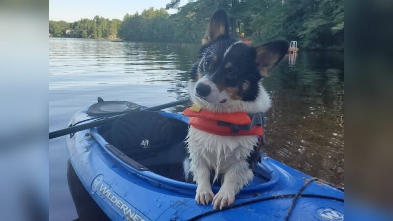 How to Kayak in Hot Weather: Essential Tips for Safe Paddling How to Kayak in Hot Weather?