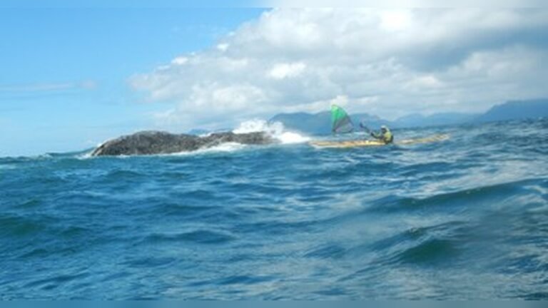 How to Kayak in Protected Areas?