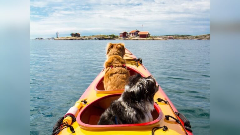 How to Kayak With Pets?