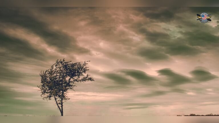 How to Stay Safe While Kayaking: Essential Tips and Tricks How to Stay Safe While Kayaking?