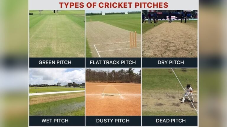 What are the Different Types of Cricket Pitches?