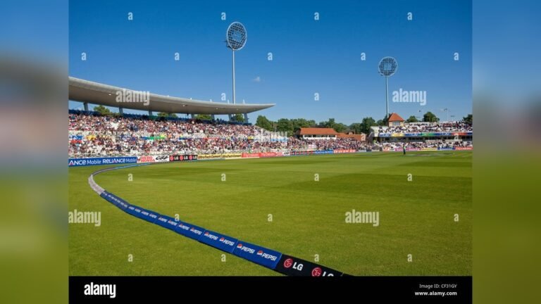 What is a Boundary in Cricket?