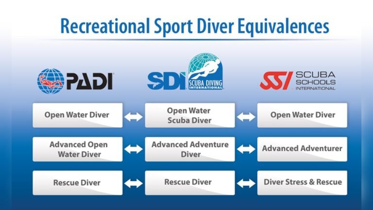What is a Scuba Diving Certification?