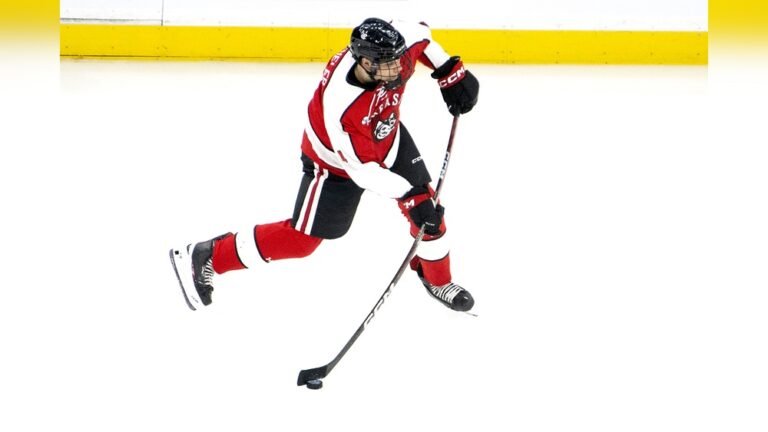 What is a Slap Shot in Ice Hockey? Technique, Tips, and Facts What is a Slap Shot in Ice Hockey?