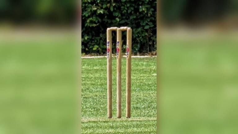 What is a Wicket in Cricket?