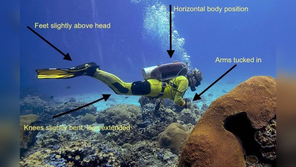 What is Buoyancy in Scuba Diving? Essential Guide for Beginners - T7FIT