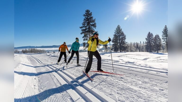 What is Cross-Country Skiing? A Beginner’s Ultimate Guide What is Cross-Country Skiing?