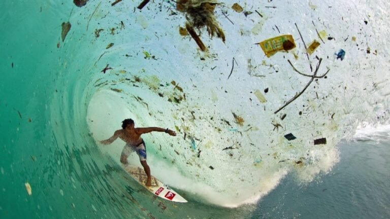 What is Eco-Friendly Surfing?