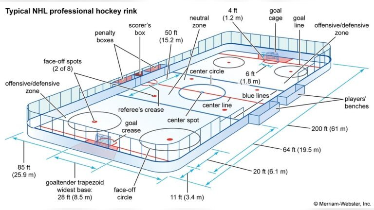What is the Difference between Amateur And Professional Ice Hockey?