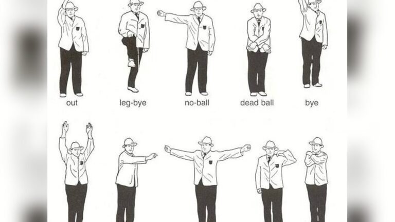 What is the Role of the Umpire in Cricket?