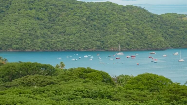 What Marine Life Can You See While Scuba Diving?