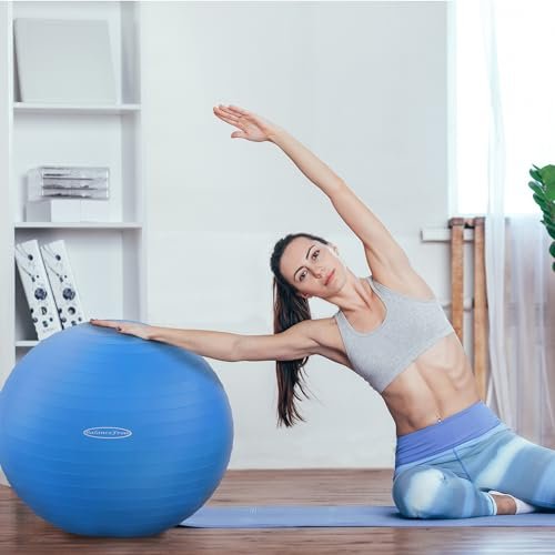 Best Anti-Burst Balance Exercise Ball